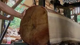 The process of sawing teak wood from Saradan, for wooden house materials 