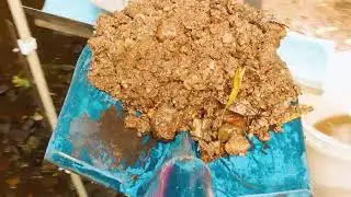 Extracting Wood Crystals: Hidden Gems Revealed + Epoxy Finish!