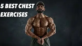 5 Best Chest Exercises  #ytshorts #shorts