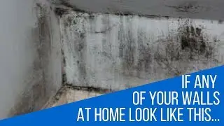 Claim Your Cavity Wall Insulation Compensation