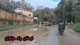 فيضان واد مزفران اليوم القليعة Oued Mazafran Kolea Algeria 2026