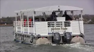 Crystal River Florida Manatee Tour