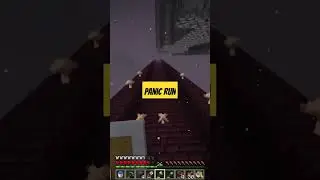 Minecraft but on Minepur Server. Running from mobs. #panic #noob #running #nether #exploration #kill