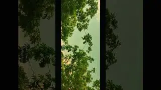 So, I make a Cinematic video with just using a phone ✨ within 0$ @tecnothought