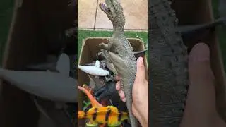 Dinosaur Jurassic World Toy In The Box ASMR Review