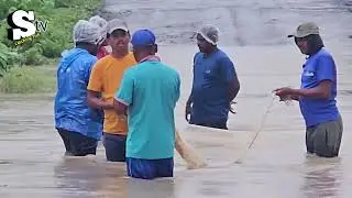 Flood season Fishing skills 🐬|| Amazing catching fish in floating water || @catchingfishnkl