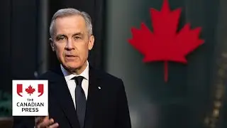 Carney says there's 'momentum' toward peace in Ukraine