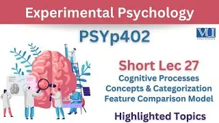 PSYp402 Short Lecture 27_Cognitive Process_Concept_Categorization_Feature Comparison Model_psy402 27