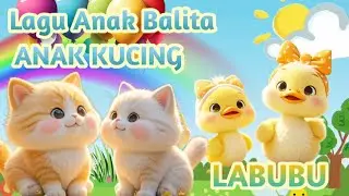ANAK KUCING MEONG2- CICIT CICIT CUIT - Lagu Anak Anak - Lagu Anak Indonesia Terbaru // RIZQIAKIDS
