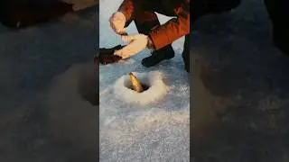❄️ रूस में -30&deg;C में Ice Fishing 😱 #russia #facts #shortvideo #animals #viral