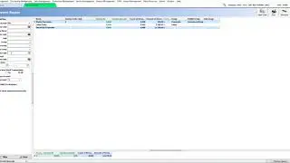 AKINSOFT WOLVOX 8 - Service Report