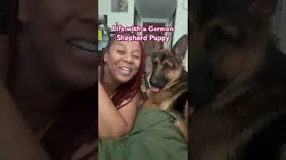 Dog Mom Life pt.1