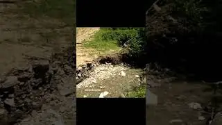 Soveja, Poiana Punga