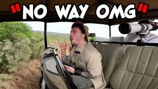 FaZe Adapt и Майя невероятно близко встречаются со львом 🇿🇦