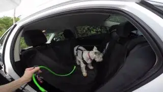 Новый регулируемый автомобильный ремень AKC