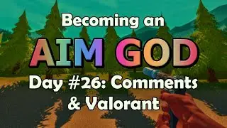 Becoming an AIM GOD: Day #26: Comments and Valorant Training