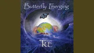 Butterfly Emerging