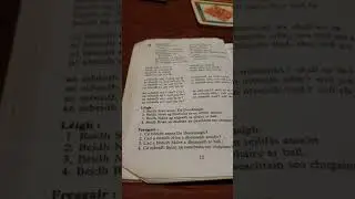 Reviewing Progress in Irish:  Lesson 9