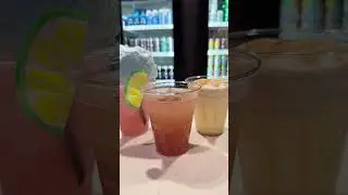 Multiversal Bevs | Meow Wolf