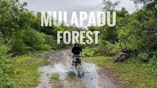 Ride to Mulapadu Forest ​😱@royalenfield GT 650 