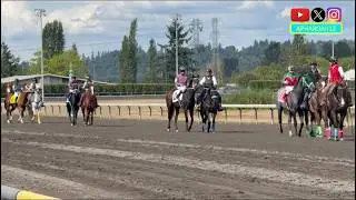 Талантливая молодая кобыла впечатляюще выступила на скачках W.T.B.O.A. Lassie Stakes 2025 года.