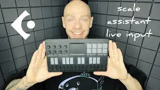 как играть только правильные ноты (scale assistant live input)