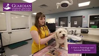 Episode 59: A Visit to Neurology and Internal Medicine
