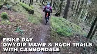Ebike Gwydir Mawr & Bach Trails (Formerly Marin Trail) with Cannondale