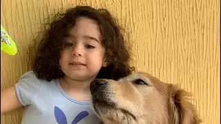RECORDANDO MOMENTOS FOFOS DA JUJU COM SEU GOLDEN RETRIEVER BENTO! -- Familia Chapouto