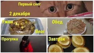 Влог, 2 декабря, Наше Меню, Картошка с курицей,  Отбивные, Оладьи, Прогулка, Первый снег