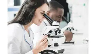 FDA Lawyer Services - Is It Really 'FDA Approved?'