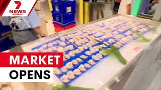 Sydney's new $800m fish market finally opens | 7NEWS