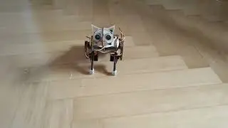 Petoi Nybble Robot Cat