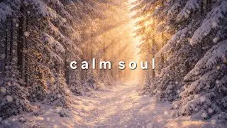 Forest Relax – Calm Ambient Music for Stress Relief