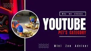 The story behind our pet channel ☃️  Aj sb kuch bata dia 
