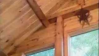 Coventry Log Homes Craftsman Series