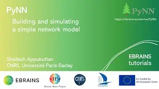 Building and simulating a simple model