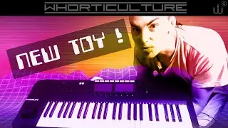 New Toy! Komplete Kontrol S49 Keyboard and Komplete