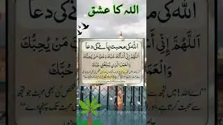 🤲 Deeni Taleem, Roohani Madad aur Duaon Ka Tohfa #shorts #ytshort