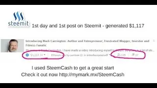 Make over $1000 in 24 hours using Steem Cash