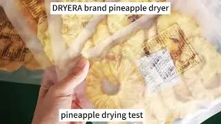 DRYERA heat pump pineapple drying machine
