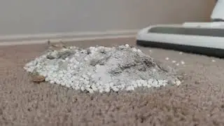 @NaturalDirtQueen said do it again | Added Carpet Freshener and Scent Beads | Whole House Natural 🏠 