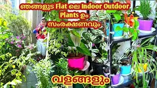 ഞങ്ങളുട Flat ലെ Indoor Outdoor Plants ഉം വളവും സംരക്ഷണവും | Indoor Outdoor Plants in Dubai flat 