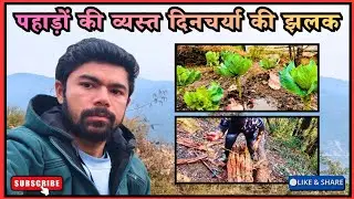 पहाड़ों की व्यस्त दिनचर्या की झलक ☺️ || Village Lifestyle of Uttarakhand || Jaikrit Singh Rawat 