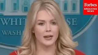 ’Do You Pray Your Pilot Has A Certain Skin Color?': Leavitt Defends Trump Admin.'s Anti-DEI Push