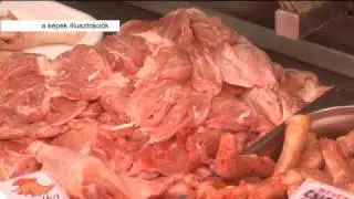 Sz&aacute;rnyas helyett vadh&uacute;s