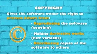 Bernie learns the basics of Software Copyright