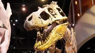 👩🏾&zwj;🚀🧪👩🏾&zwj;🔬 | The Perot Museum