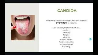Week Four - Health Gut Challenge | Microbial Imbalances