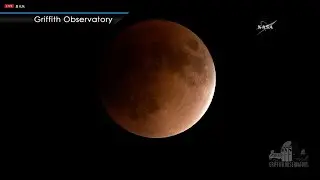 Rare Super Moon, Blue Moon and Lunar Eclipse